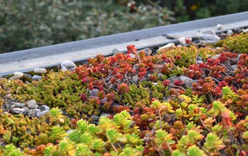 the cost of Higher Bockhampton green roof installation