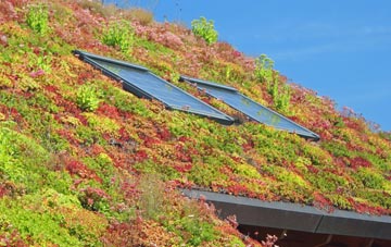 Higher Bockhampton living roof systems