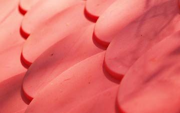 Higher Bockhampton plastic roof costs