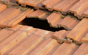 roof repair Higher Bockhampton, Dorset