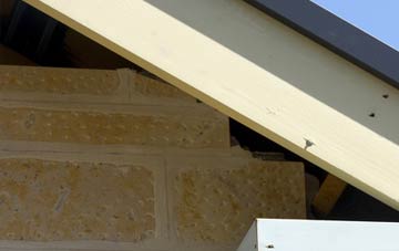 soffit repair Higher Bockhampton